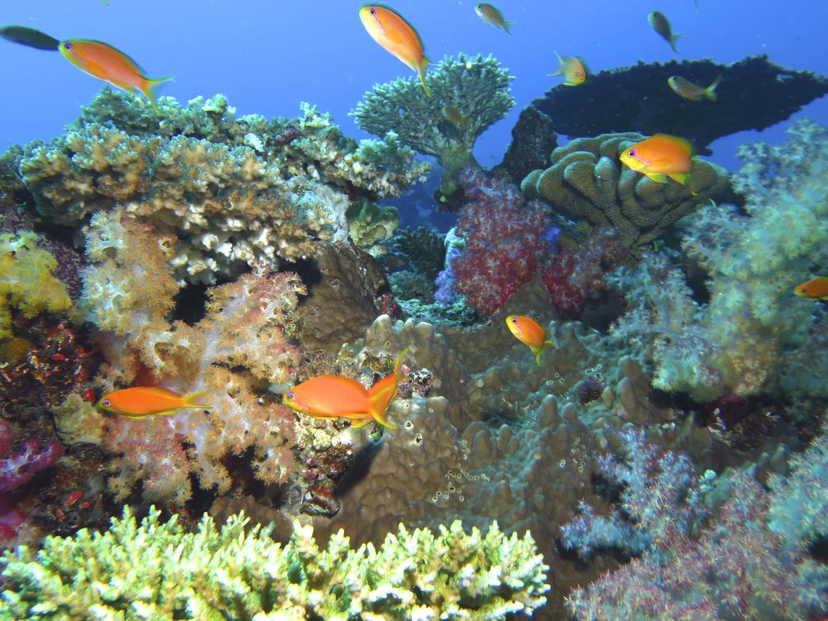 Taveuni Island Resort & Spa Matei Kültér fotó